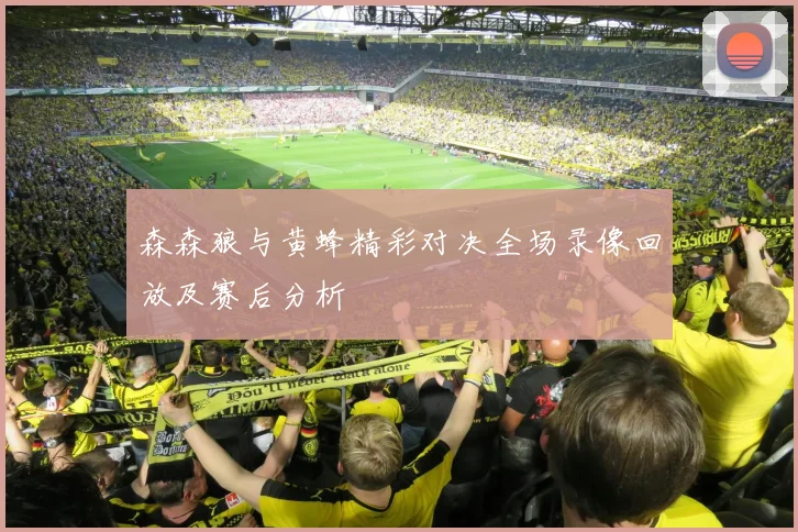 森森狼与黄蜂精彩对决全场录像回放及赛后分析