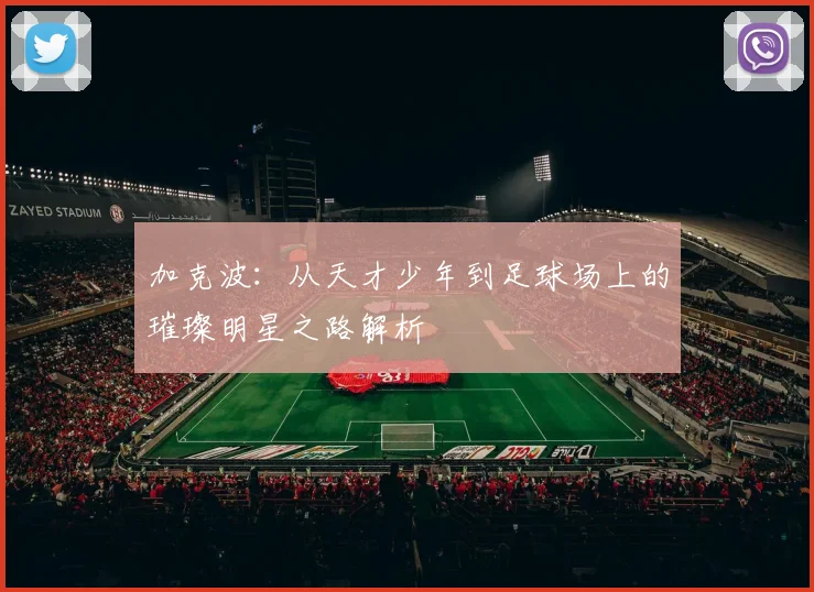 加克波：从天才少年到足球场上的璀璨明星之路解析