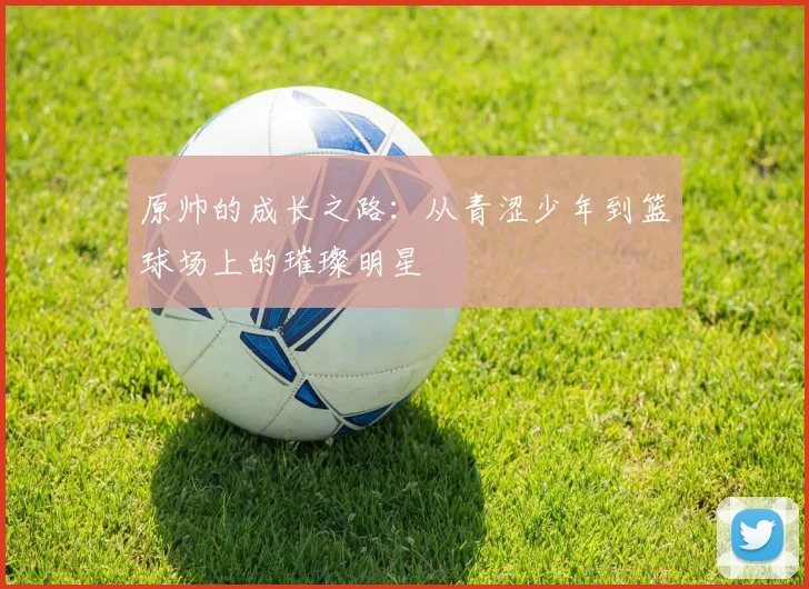 原帅的成长之路：从青涩少年到篮球场上的璀璨明星
